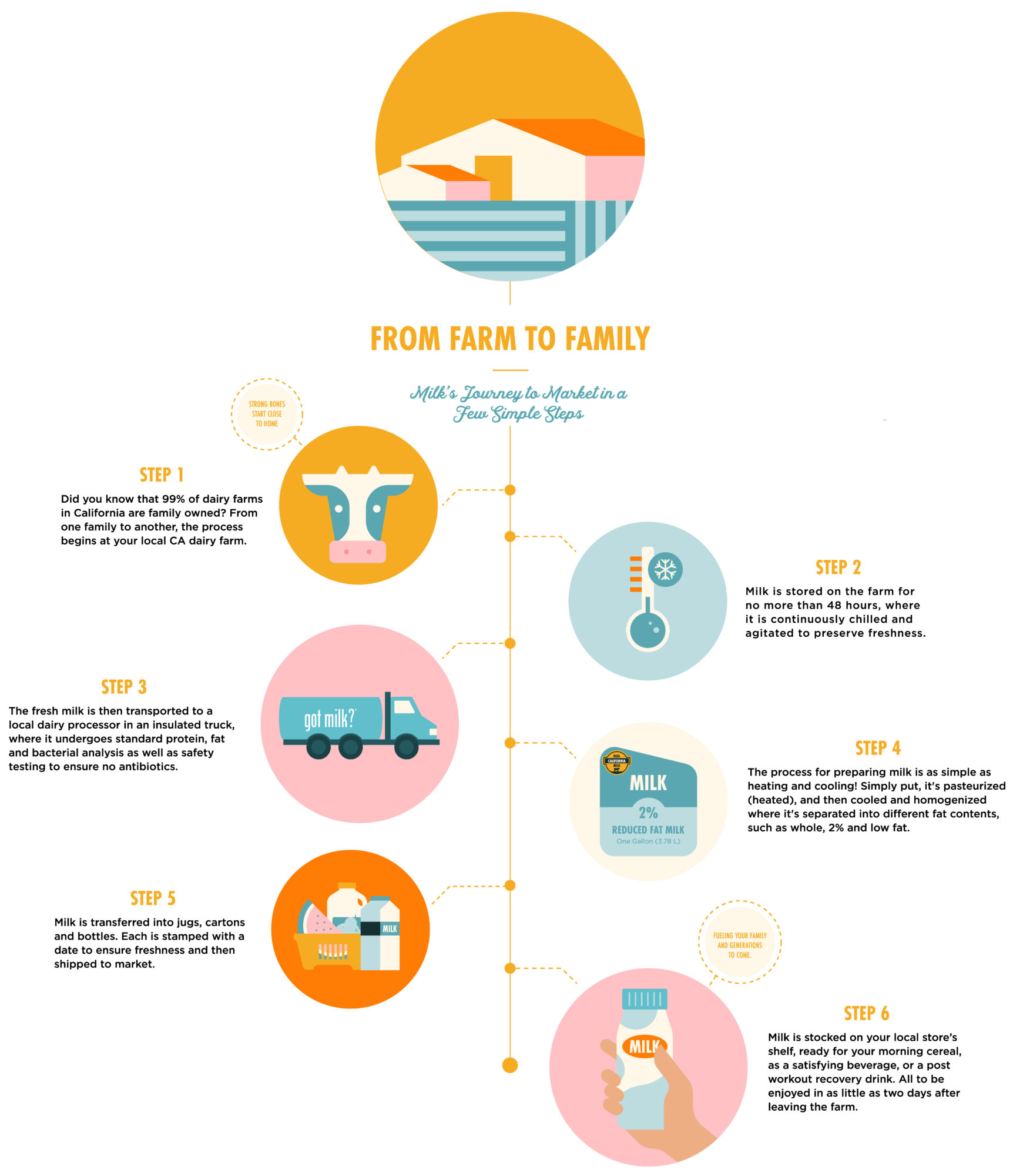 Milk's journey to the market- from the dairy farm, to the processor, to your family in a colorful, illustrative graphic